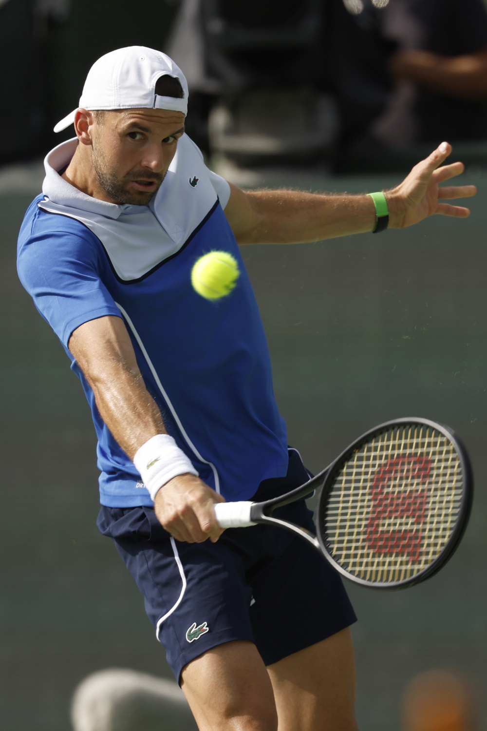 美网逆转拉沃尔杯，梅德韦杰夫惊艳四座