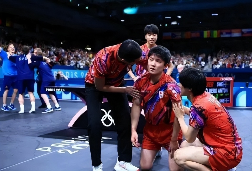 瑞典队逆转法国队，张本智和状态火热